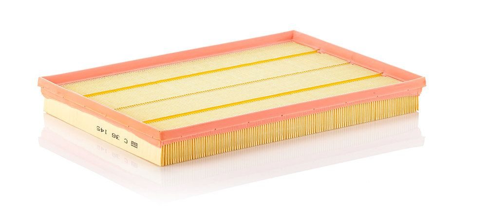 Повітряний фільтр MANN-FILTER C36145 - zapix