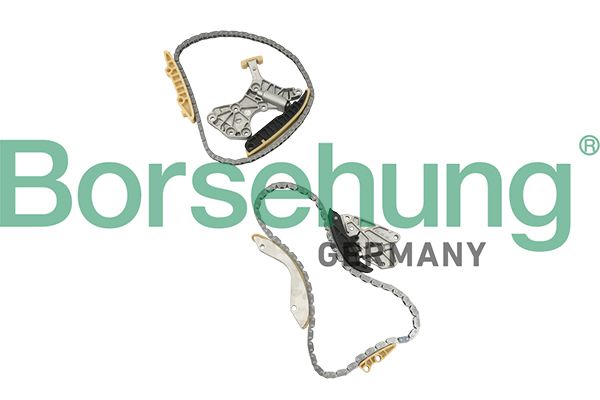Комплект ланцюгів привода BORSEHUNG B18845 - zapix