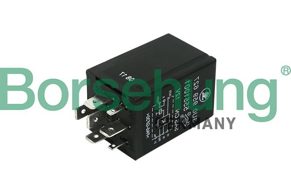 Багатофункціональне реле BORSEHUNG B17813 - zapix