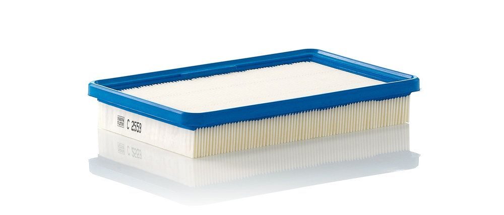 Повітряний фільтр MANN-FILTER C2559 - zapix
