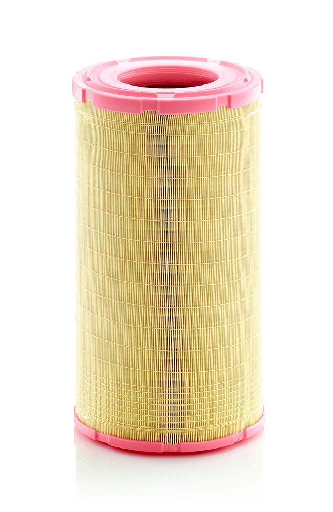 Повітряний фільтр MANN-FILTER C2913661 - zapix