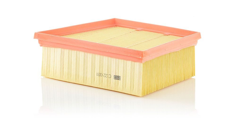 Повітряний фільтр MANN-FILTER C22031 - zapix