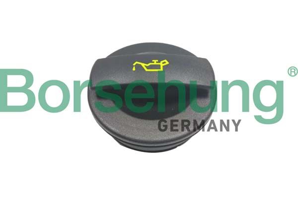 Кришка маслозаливної горловини BORSEHUNG B10669 - zapix