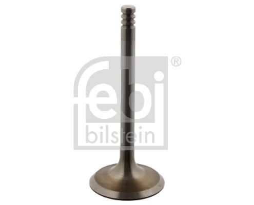 Впускний клапан FEBI BILSTEIN 37220 - zapix