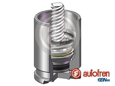 Поршень гальмівного супорта AUTOFREN SEINSA D025530K