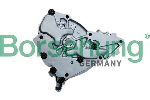 Оливний насос BORSEHUNG B11902 - zapix