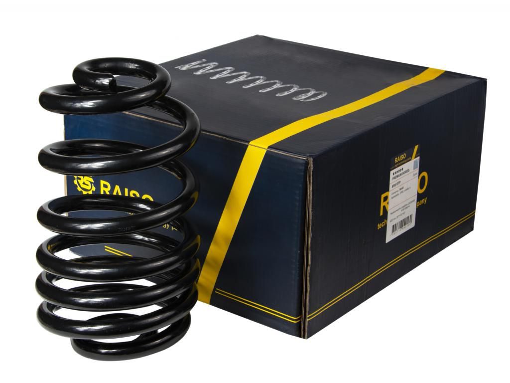 Пружина підвіски RAISO SR013TP - zapix