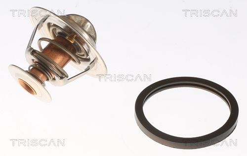 Термостат TRISCAN 86205582 - zapix