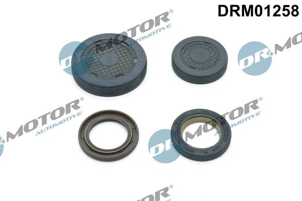 Заглушка ГБЦ DR.MOTOR AUTOMOTIVE DRM01258 - zapix