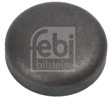 Заглушка ГБЦ FEBI BILSTEIN 03199 - zapix