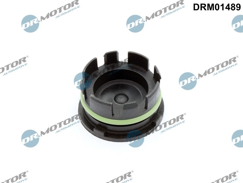 Заглушка ГБЦ DR.MOTOR AUTOMOTIVE DRM01489 - zapix