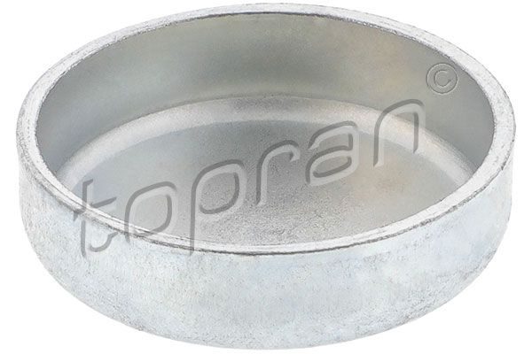 Заглушка ГБЦ TOPRAN 101116 - zapix