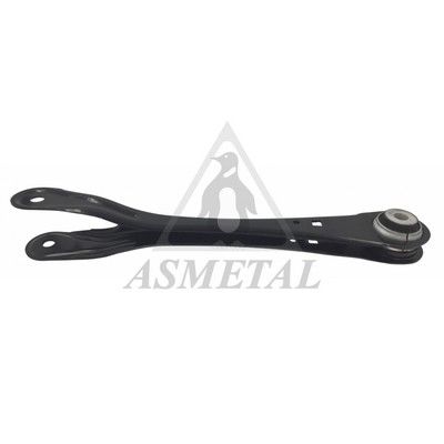 Важіль підвіски ASMETAL 23BM0366 - zapix
