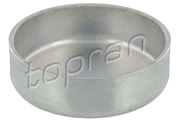 Заглушка ГБЦ TOPRAN 109378 - zapix