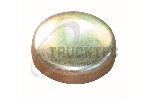Заглушка ГБЦ TRUCKTEC AUTOMOTIVE 0267043 - zapix