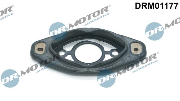 Прокладка клапана регулятора фаз DR.MOTOR AUTOMOTIVE DRM01177 - zapix