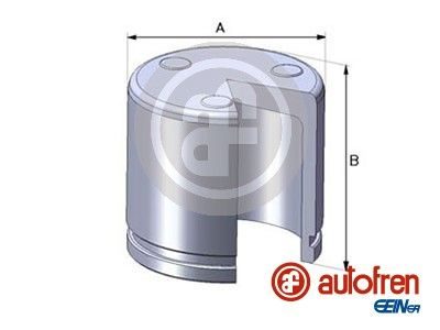 Поршень гальмівного супорта AUTOFREN SEINSA D02551 - zapix