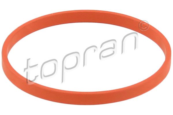 Прокладка впускного колектора TOPRAN 117328 - zapix