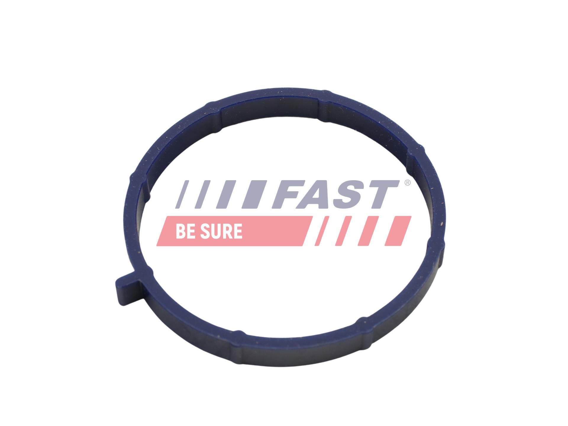 Прокладка впускного колектора FAST FT49467 - zapix