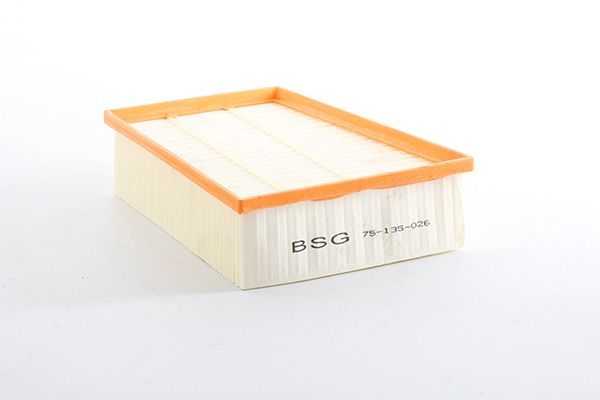 Повітряний фільтр BSG75135026 - zapix