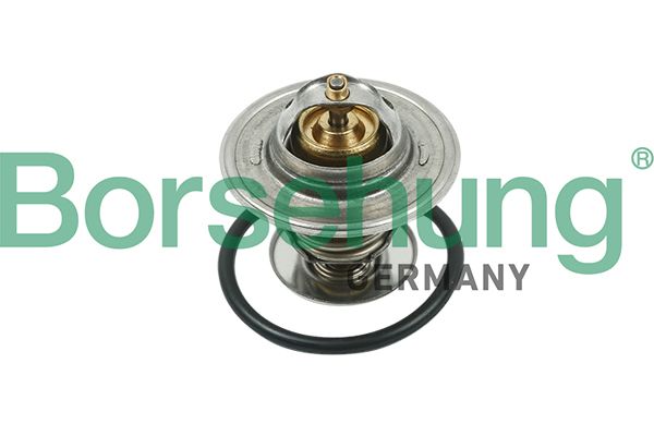 Термостат BORSEHUNG B13141 - zapix