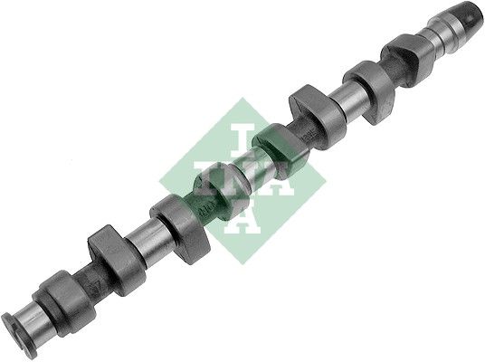 Розподільний вал SCHAEFFLER INA 428006410 - zapix