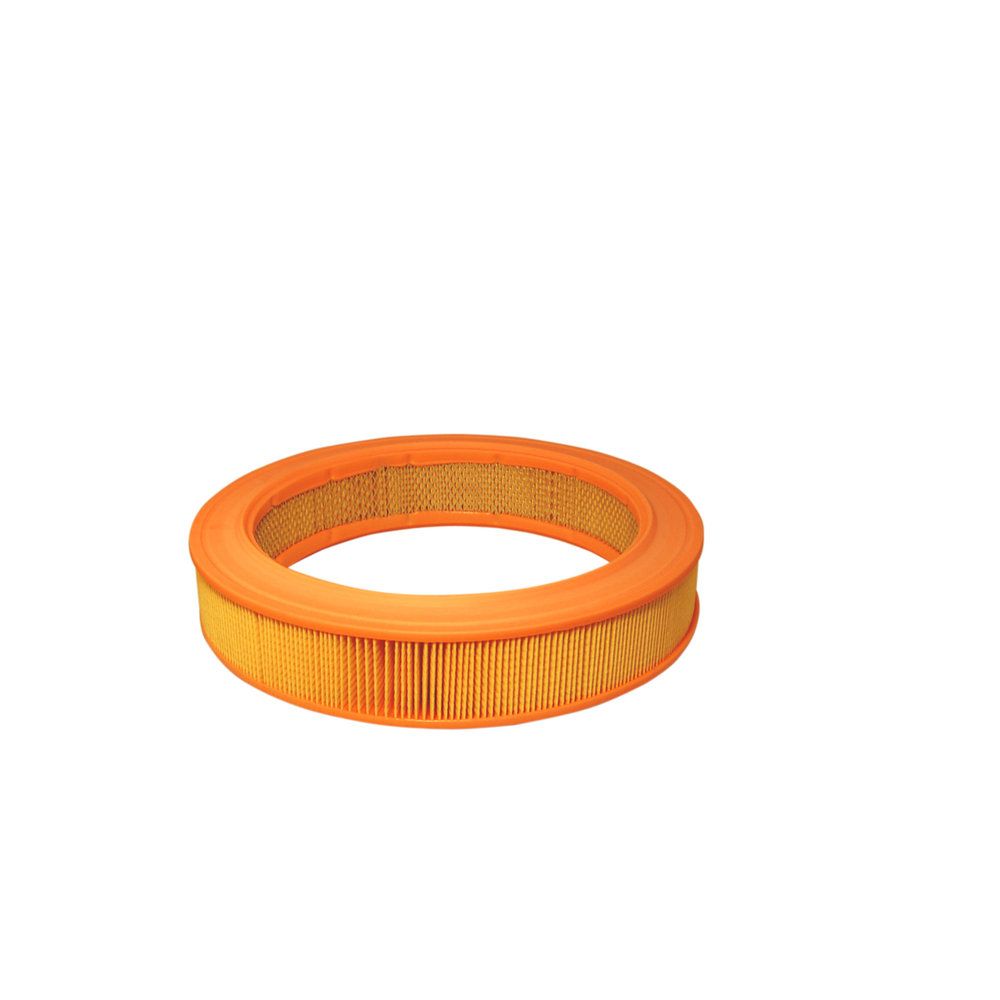 Повітряний фільтр FILTRON AR339 - zapix
