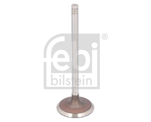 Впускний клапан FEBI BILSTEIN 183492 - zapix