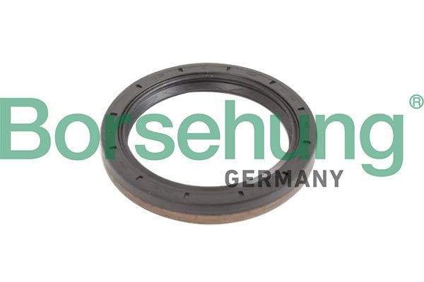 Сальник коробки передач BORSEHUNG B12193 - zapix