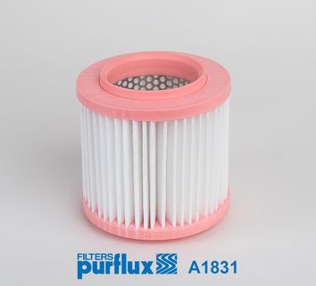 Повітряний фільтр PURFLUX A1831 - zapix