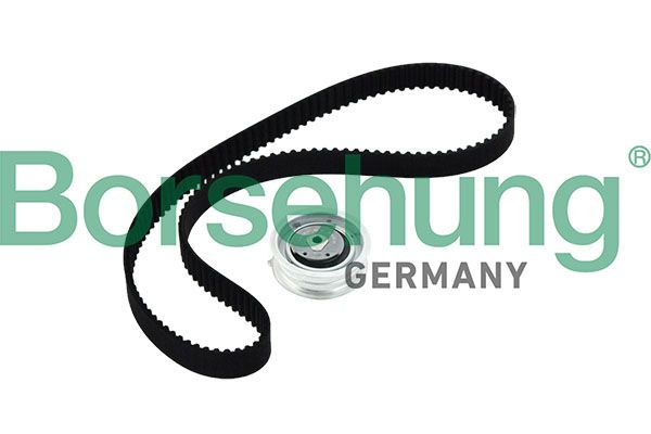 Комплект ременя ГРМ BORSEHUNG B10219 - zapix
