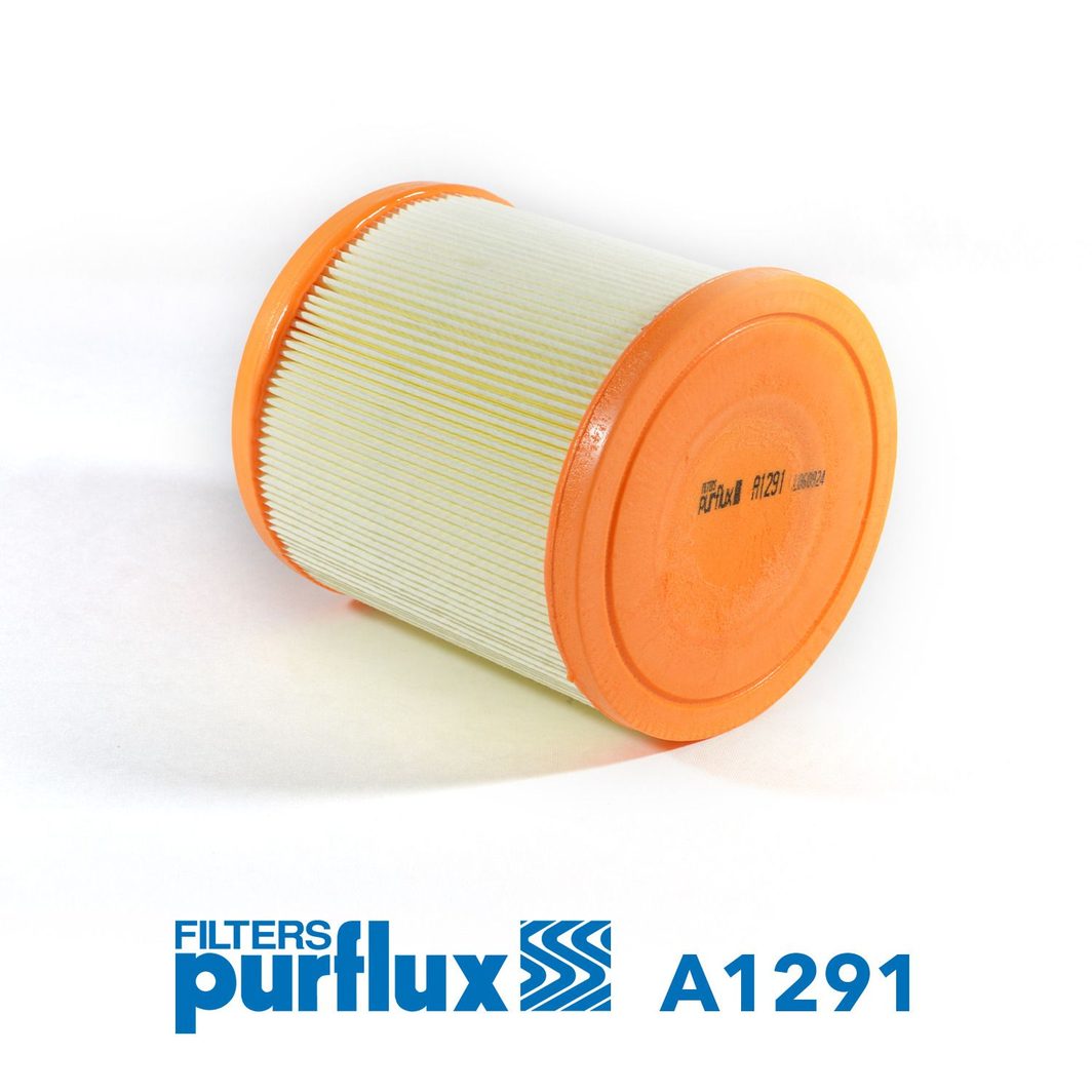 Повітряний фільтр PURFLUX A1291 - zapix