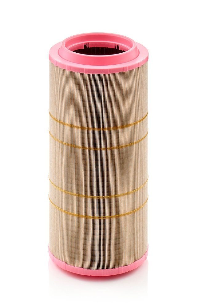 Повітряний фільтр MANN-FILTER C3017301 - zapix