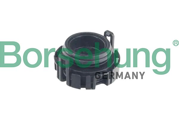 Клапан регулятор фаз газорозподілу BORSEHUNG B12240 - zapix