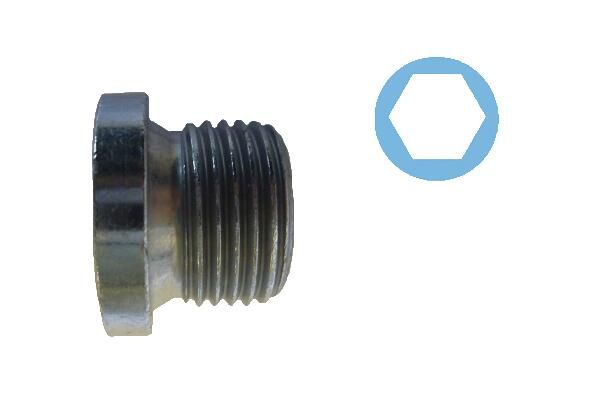 Пробка зливна оливного піддона CORTECO 220088H - zapix