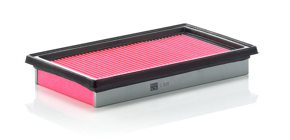 Повітряний фільтр MANN-FILTER C2420 - zapix