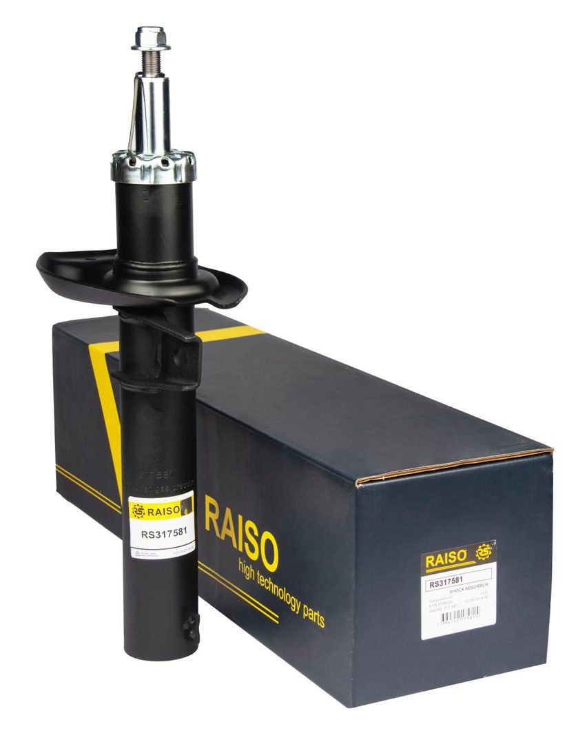 Амортизатор RAISO RS317581 - zapix