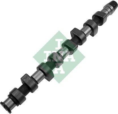 Розподільний вал SCHAEFFLER INA 428006810 - zapix