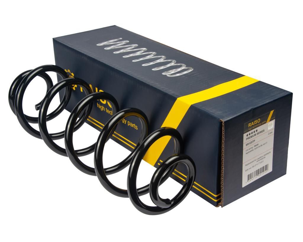 Пружина підвіски RAISO SR125TP - zapix