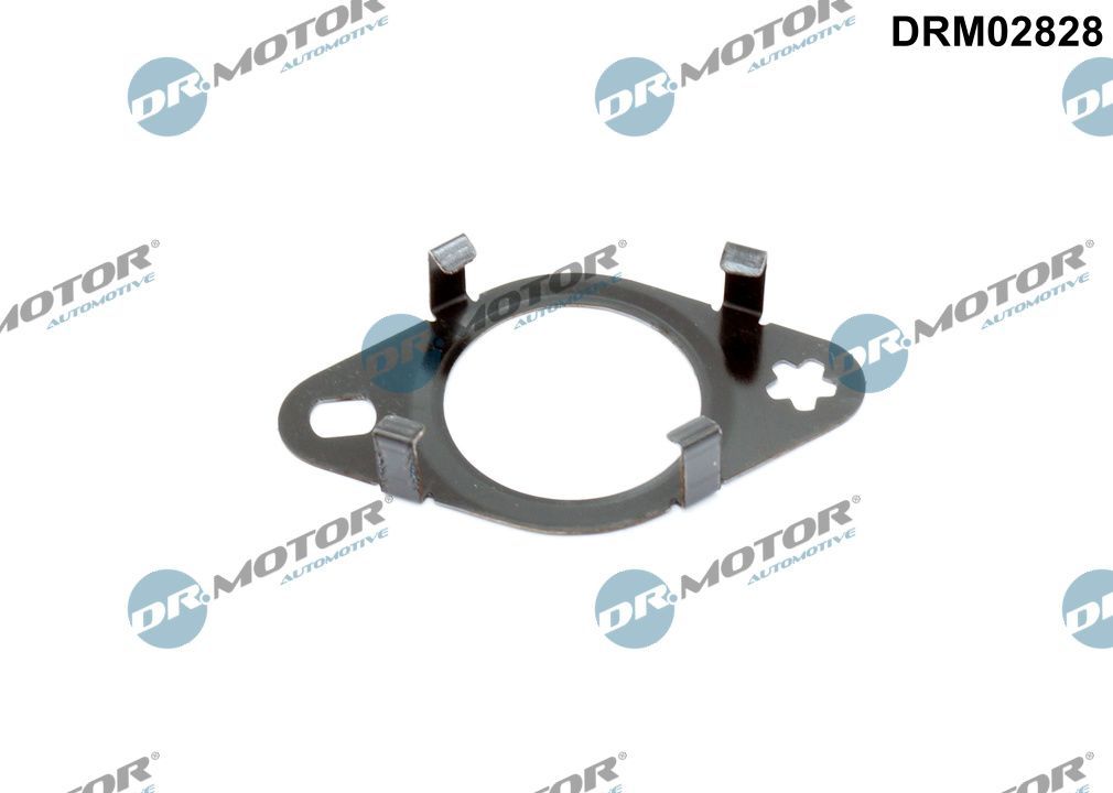 Прокладка EGR DR.MOTOR AUTOMOTIVE DRM02828 - zapix