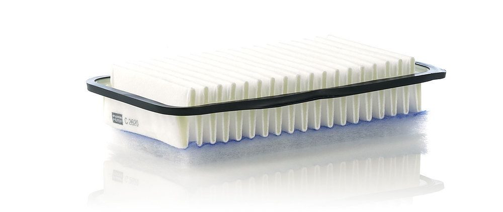 Повітряний фільтр MANN-FILTER C2620 - zapix
