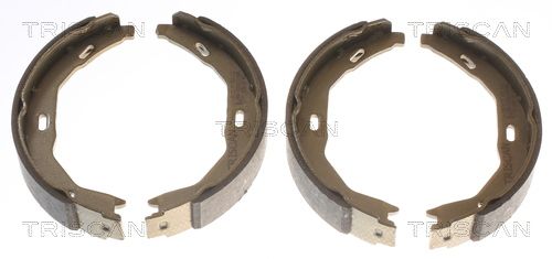 Гальмівні колодки ручника (барабанні) TRISCAN 810023029 - zapix