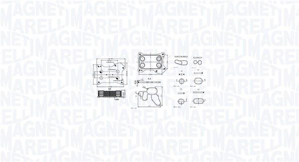 Оливний радіатор двигуна MAGNETI MARELLI 350300001300 - zapix