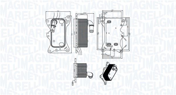 Оливний радіатор двигуна MAGNETI MARELLI 350300006300 - zapix