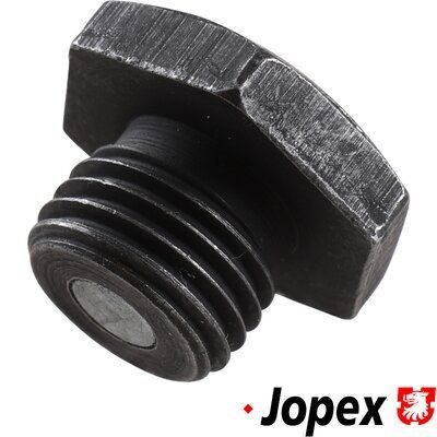 Пробка зливна оливного піддона JP GROUP 8113800400 - zapix