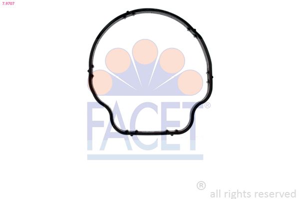 Прокладка термостата FACET 79707 - zapix
