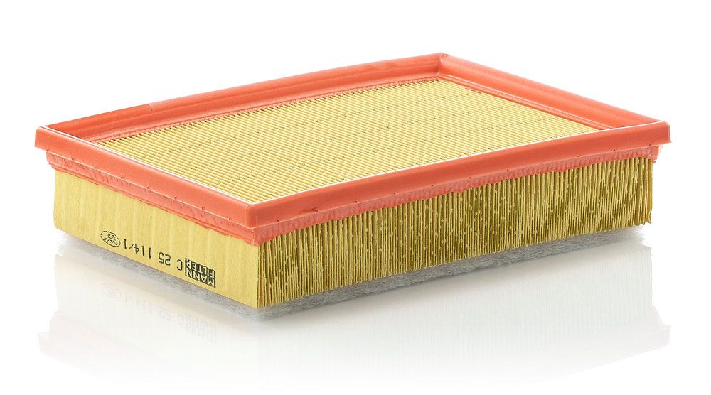 Повітряний фільтр MANN-FILTER C251141 - zapix