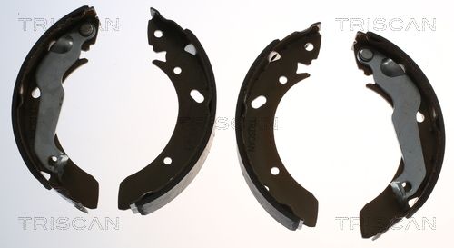 Гальмівні колодки ручника (барабанні) TRISCAN 810043013 - zapix