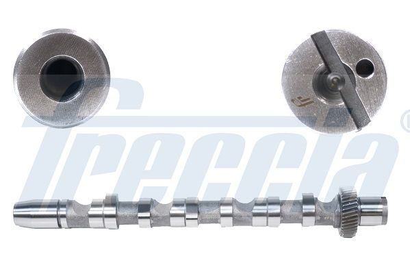Розподільний вал FRECCIA CM052121 - zapix