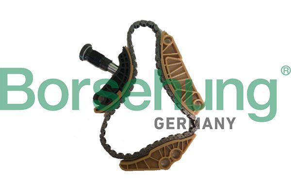 Приводний ланцюг оливного насоса BORSEHUNG B18779 - zapix